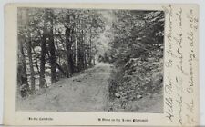 NY In The Catskills, A Drive on the Lower Plattekill 1907 udb Postcard Q10 picture