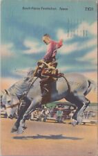 Lubbock, TX: 1953 Horse, South Plains Tenderfoot - Vintage Texas Linen Postcard picture