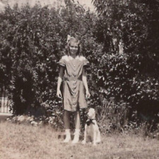 4M Photograph Portrait Girl And Her Beloved Terrier Dog 1930-40's picture
