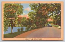 Brighton Michigan Linen Postcard No 4033 picture