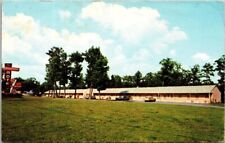 Vintage Lynchburg Virginia VA Vintage Postcard Fountain Motel Route 29 picture