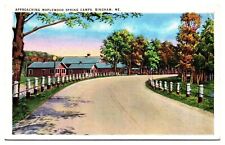 Vintage Approaching Maplewood Spring Camps, Bingham, ME Postcard picture