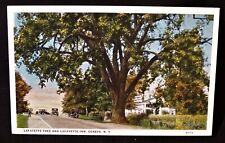 NY Geneva Lafayette Tree and Lafayette Inn Vintage Postcard picture