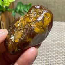 Top Bonsai Suiseki-Natural Gobi Agate Eyes Stone-Rare Stunning Viewing 75g A228 picture