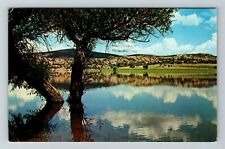 Prescott AZ-Arizona, Watson Lake, Scenic View Water, Vintage Postcard picture