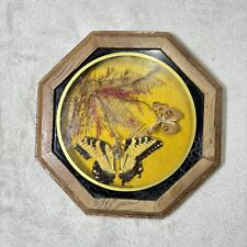Vintage Taxidermy Butterflies Octagon Framed Wooden 9.5 Inch picture