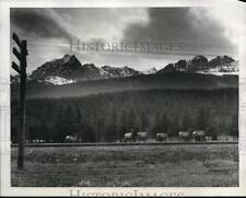 1939 Press Photo Banff Alberta Canada a herd of elk in the mountains picture
