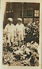 C 1920 B&W Photo Of Twin Boys With Big Bright Heads Looking At Birds picture