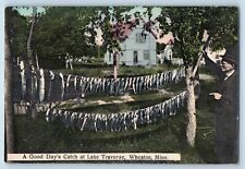 Wheaton Minnesota Postcard Good Day's Catch Lake Traverse c1914 Vintage Antique picture