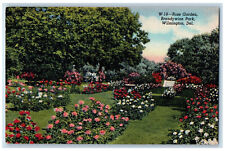 c1950's Rose Garden Brandywine Park Wilmington Delaware DE Vintage Postcard picture