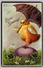 Anthropomorphic Antique Easter Postcard Fantasy Chick Umbrella Egg Rain 1908 J4 picture