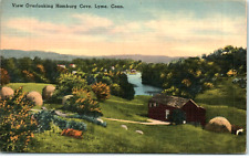 Lime Connecticut CT View Overlooking Hamburg Cove Connecticut River Postcard picture