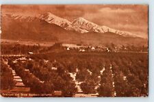 postcard San Gabriel Mountains California Old Baldy from Orange Groves 1911 mark picture