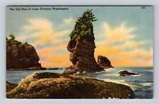 Cape Flattery WA-Washington, The Old Man, Antique, Vintage c1950 Postcard picture