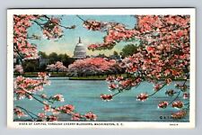 Washington DC, Vista of Capitol Through Cherry Blossoms, Vintage c1935 Postcard picture