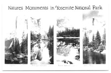 Postcard Natures Monuments in Yosemite National Park Posted 1956 RPPC picture