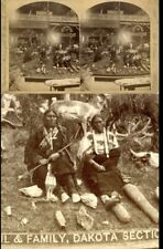 Sioux Chief Gall And Wife Stereoview Battle Of Little Big Horn Custer picture