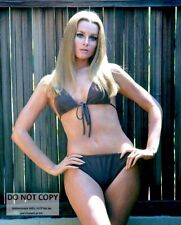 ACTRESS CELESTE YARNALL PIN UP - 8X10 PUBLICITY PHOTO (SP568) picture