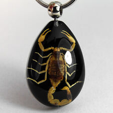 REAL GOLDEN SCORPION BLACK LUCITE KEYRING KEYCHAIN INSECT JEWELRY TAXIDERMY GIFT picture