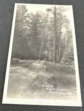 Postcard: RPPC Road to BIG FORK LAKE Three Lakes, Wisconsin picture