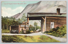 Postcard An Old Tollgate, Catskill Mountains, N.Y. New York A138 picture