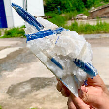 2.84LB Natural blue KYANITE with mica quartz crystal sample rough healing picture