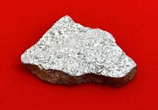 Millbillillie Meteorite Slice, Crusted, Full Slice, Eucrite, 1960, 3.81 Grams picture