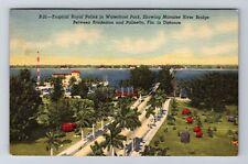 Palmetto FL-Florida Tropical Royal Palms Waterfront Park Vintage c1949 Postcard picture