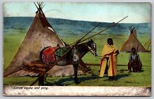 Postcard Native American Indian Sarcee Squaw and Pony *A1033 picture