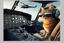 Kitty Cat Helicopter PHOTO Cats 5x7 Art Print Photo Funny Pilot Decor picture
