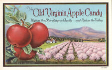 RARE 1934 ADVERTISING PC THE OLD VIRGINIA APPLE CANDY CO WINCHESTER VA MINT * picture