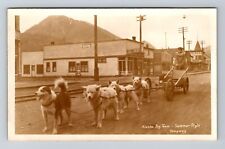 Skagway AK. RPPC City Bakery Alaska Summer Dog Team Real Photo 1920 Old Postcard picture