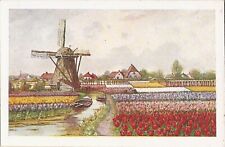NETHERLANDS - Windmill & Tulips picture
