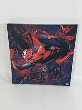 Spiderman Poster Canvas Wall Art Home Bedroom Decor picture