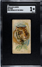 1888 N25 Allen & Ginter Tiger Wild Animals of the World SGC 1 picture