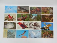 35 Various Bird Postcards  picture