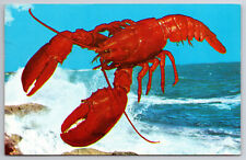 Vintage Postcard Maritime Lobster picture