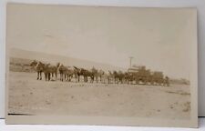 RPPC Twelve Horse Team FREIGHTING THE WOOL Horse Drawn Wagons c1907 Postcard E19 picture
