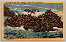Seal Herd Rock Cliff House San Francisco California Oceanfront Linen PM Postcard picture