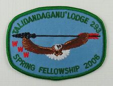 2006 Talidandaganu' Lodge 293 OA Cherokee Area Council GRN Bdr. [OAX868] picture