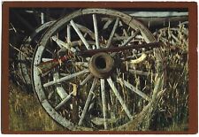 Postcard Wagon Wheel Full Stocked Flintlock Kentucky Rifle Vintage picture