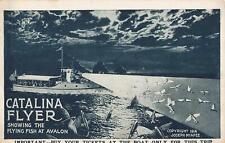 1914 CATALINA FLYER Flying Fish Boat tour Postcard Fly Avalon CA fishing RARE picture