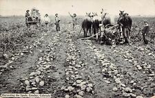 Greeley CO Colorado Potato Farm Harvester Tractor Horses Spuds Vtg Postcard A13 picture