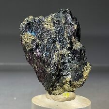 SS Rocks - Covellite with Pyrite (Leonard Mine, Butte Montana) 32g picture