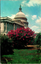 Vintage Postcard ~ United States Capital Washington DC ~ USA picture