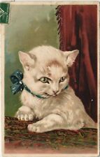 PC CPA CAT, WHITE CAT WITH A BUTTERFLY BOW, (b25058) picture