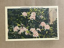 Postcard Rhododendrons Washington WA State Flower Vintage PC picture