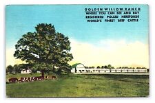Golden Willow Ranch Registered Polled Herefords Liberal MO Missouri Postcard picture