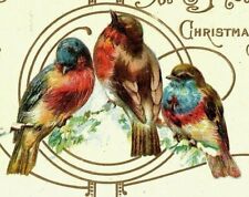 1907-15 Wish You A Joyous Christmas Postcard Three Song Birds Art Nouveau Gold picture