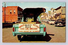 Postcard Wisconsin Glidden WI Largest Black Bear Car Auto Mac Taxidermy 1960s picture